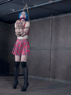 Hard Tied Picture