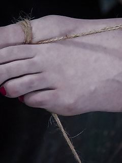 Hard Tied Picture