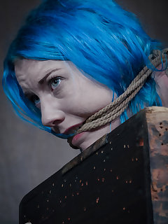 Hard Tied Picture