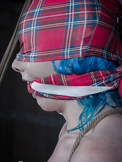 Hard Tied Picture