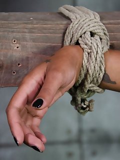 Hard Tied Picture