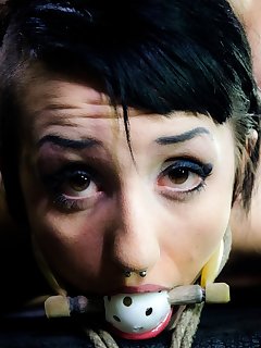 Hard Tied Picture