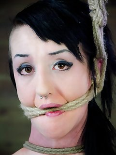 Hard Tied Picture