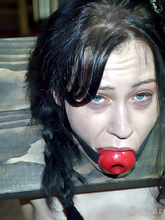 Infernal Restraints Picture