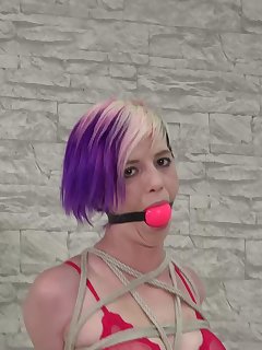 Sexy Tied Girls Picture