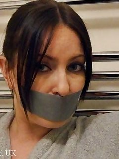 Blackfoxbound UK Picture