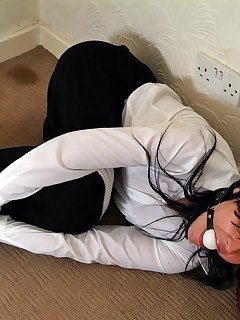 Blackfoxbound UK Picture