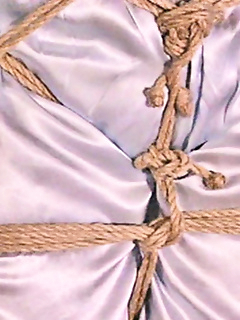 Shibari Dolls Picture